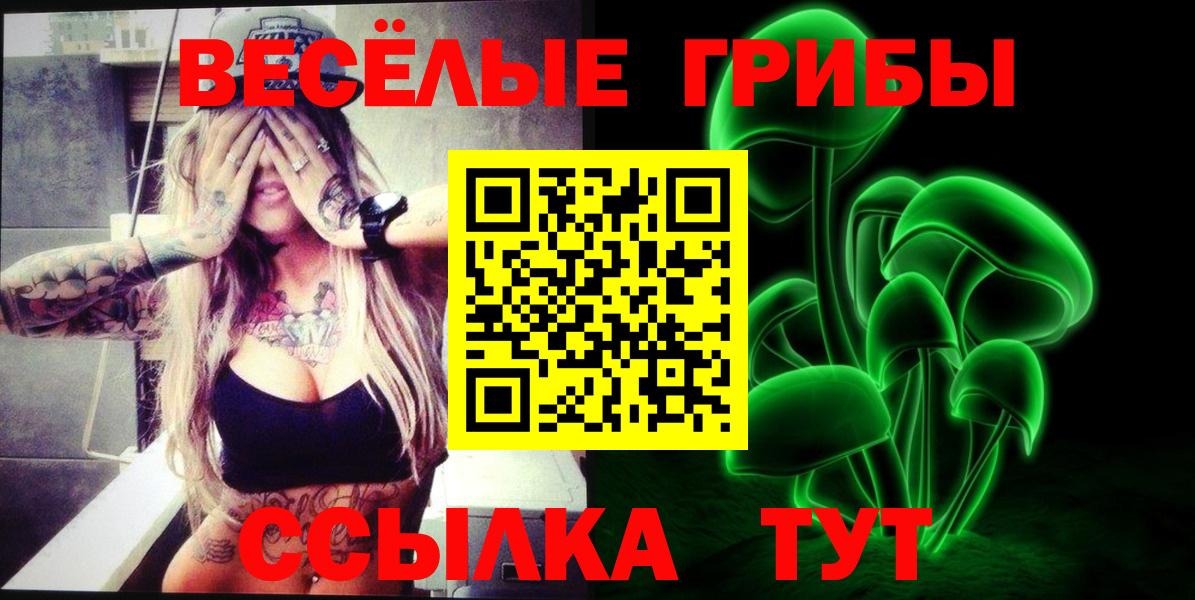 Псилоцибиновые грибы GOLDEN TEACHER  Вход с VPN  Алексеевка  Галлюциногенные грибы Cubensis 